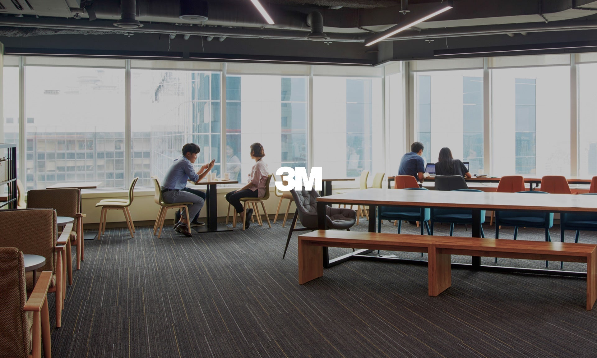 3M